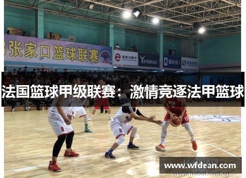 法国篮球甲级联赛：激情竞逐法甲篮球